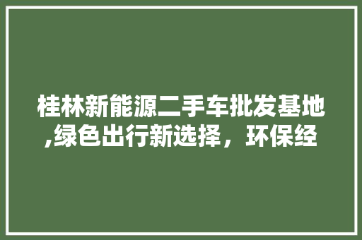 桂林新能源二手车批发基地,绿色出行新选择，环保经济两不误