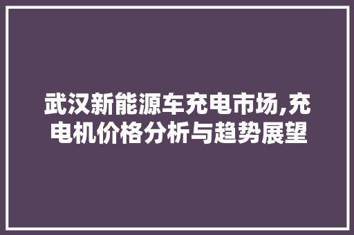 武汉新能源车充电市场,充电机价格分析与趋势展望