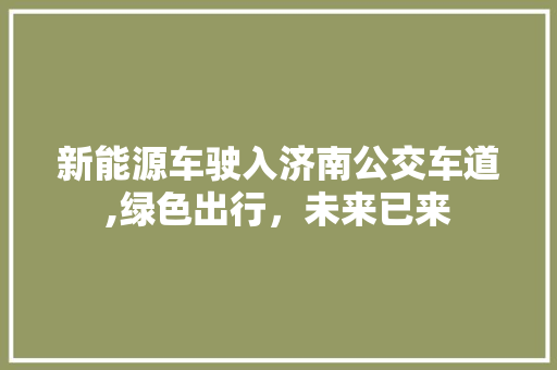 新能源车驶入济南公交车道,绿色出行，未来已来