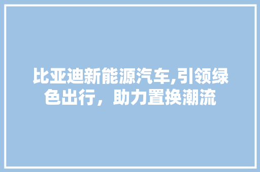 比亚迪新能源汽车,引领绿色出行，助力置换潮流