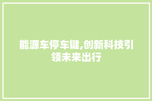能源车停车键,创新科技引领未来出行