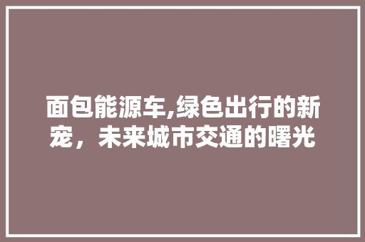 面包能源车,绿色出行的新宠，未来城市交通的曙光