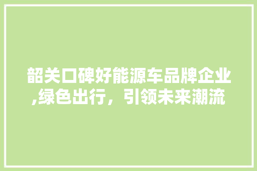 韶关口碑好能源车品牌企业,绿色出行，引领未来潮流