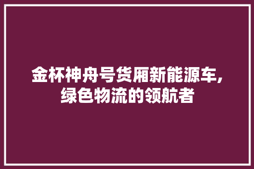 金杯神舟号货厢新能源车,绿色物流的领航者