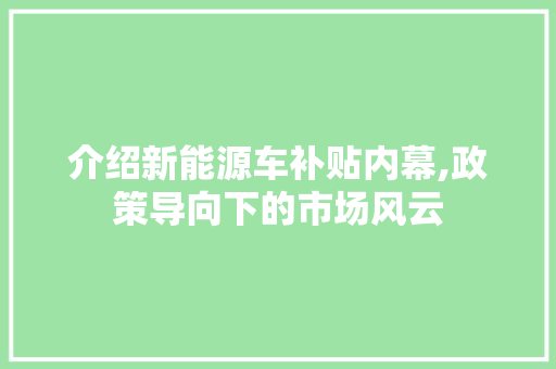 介绍新能源车补贴内幕,政策导向下的市场风云