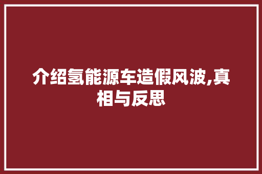 介绍氢能源车造假风波,真相与反思