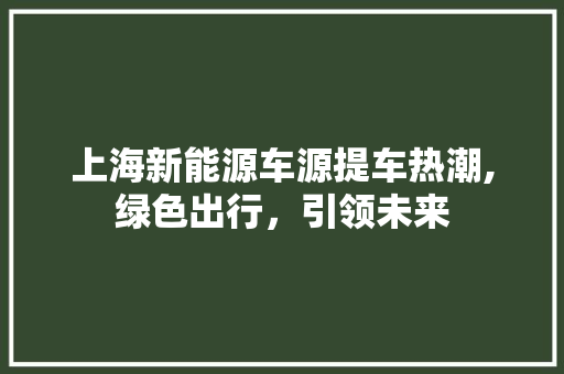 上海新能源车源提车热潮,绿色出行，引领未来