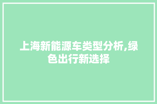 上海新能源车类型分析,绿色出行新选择