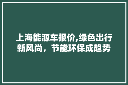 上海能源车报价,绿色出行新风尚，节能环保成趋势