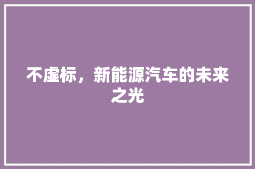 不虚标，新能源汽车的未来之光