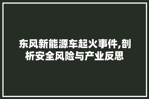 东风新能源车起火事件,剖析安全风险与产业反思