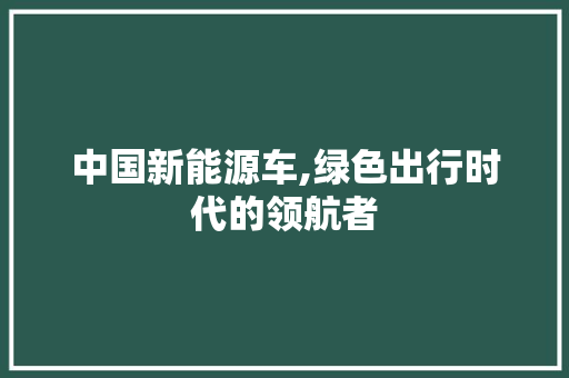 中国新能源车,绿色出行时代的领航者