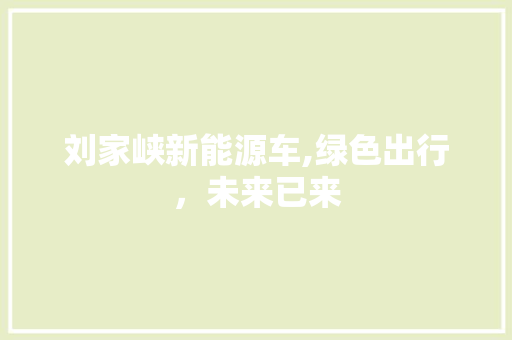 刘家峡新能源车,绿色出行，未来已来