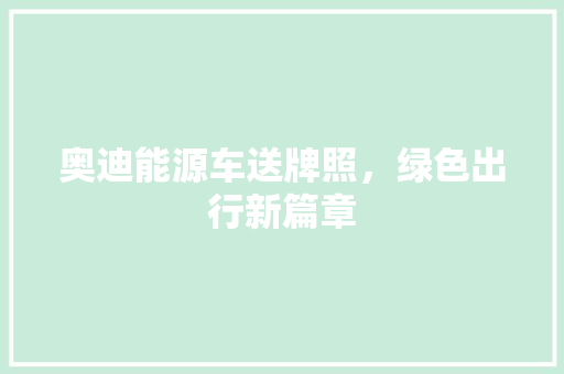 奥迪能源车送牌照，绿色出行新篇章