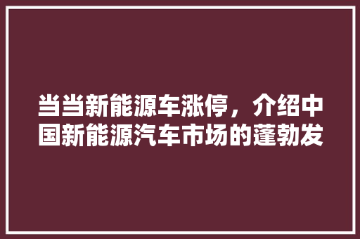 当当新能源车涨停，介绍中国新能源汽车市场的蓬勃发展