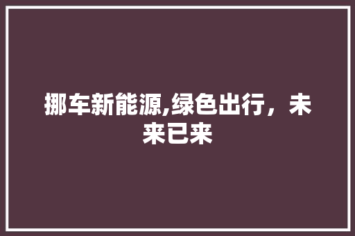 挪车新能源,绿色出行，未来已来