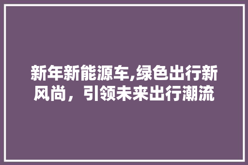 新年新能源车,绿色出行新风尚，引领未来出行潮流