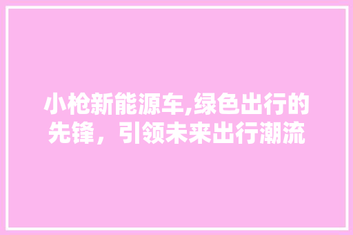小枪新能源车,绿色出行的先锋，引领未来出行潮流