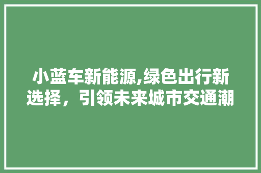 小蓝车新能源,绿色出行新选择，引领未来城市交通潮流