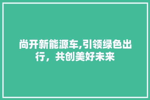 尚开新能源车,引领绿色出行，共创美好未来