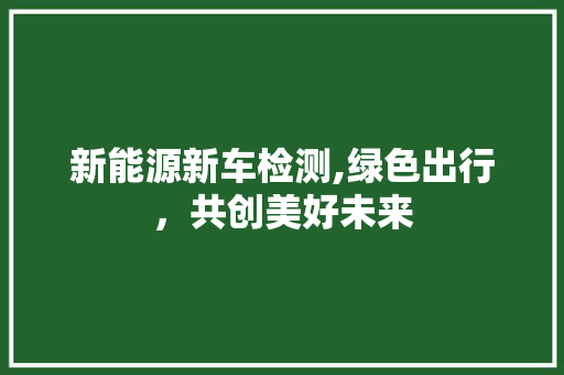 新能源新车检测,绿色出行，共创美好未来