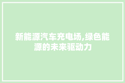 新能源汽车充电场,绿色能源的未来驱动力
