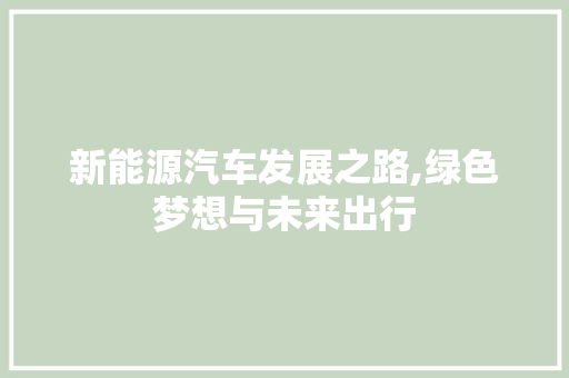 新能源汽车发展之路,绿色梦想与未来出行
