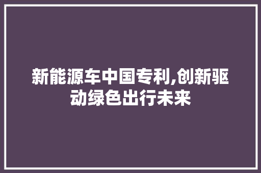 新能源车中国专利,创新驱动绿色出行未来
