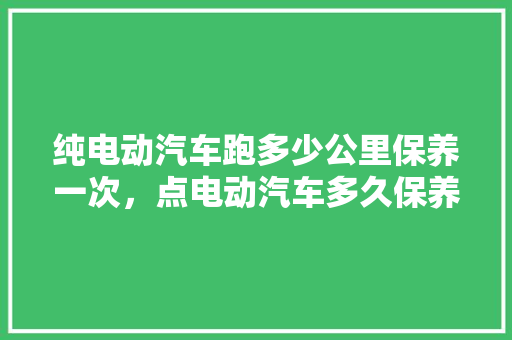 纯电动汽车跑多少公里保养一次，点电动汽车多久保养一次比较好。  第1张 纯电动汽车跑多少公里保养一次，点电动汽车多久保养一次比较好。 新车