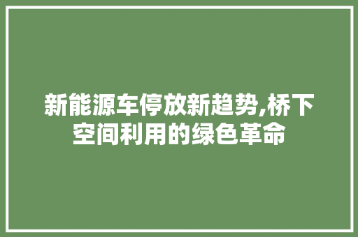 新能源车停放新趋势,桥下空间利用的绿色革命