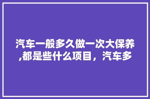 汽车一般多久做一次大保养,都是些什么项目，汽车多久一次大保养合适。  第1张 汽车一般多久做一次大保养,都是些什么项目，汽车多久一次大保养合适。 电瓶车