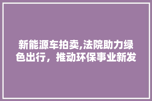 新能源车拍卖,法院助力绿色出行，推动环保事业新发展