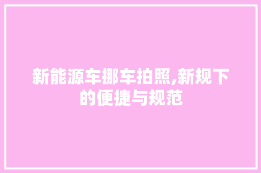 新能源车挪车拍照,新规下的便捷与规范