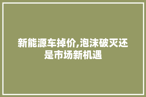 新能源车掉价,泡沫破灭还是市场新机遇