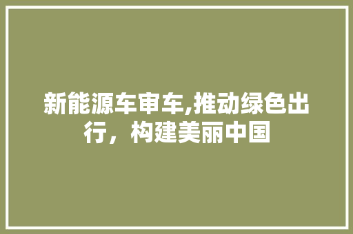 新能源车审车,推动绿色出行，构建美丽中国