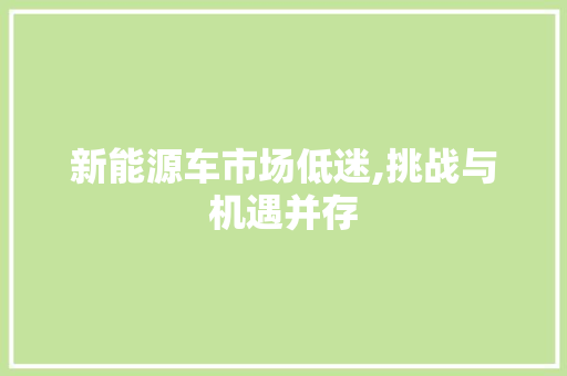 新能源车市场低迷,挑战与机遇并存
