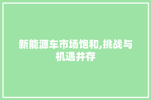 新能源车市场饱和,挑战与机遇并存