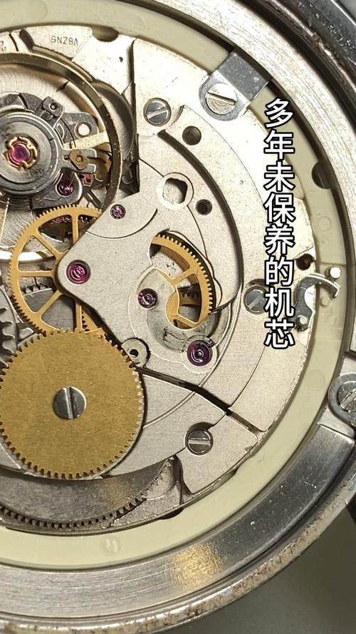 手表多长时间保养一次,天津汽车保养多久做一次保养。 电车维修 手表多长时间保养一次,天津汽车保养多久做一次保养。 第2张 手表多长时间保养一次,天津汽车保养多久做一次保养。 电车维修